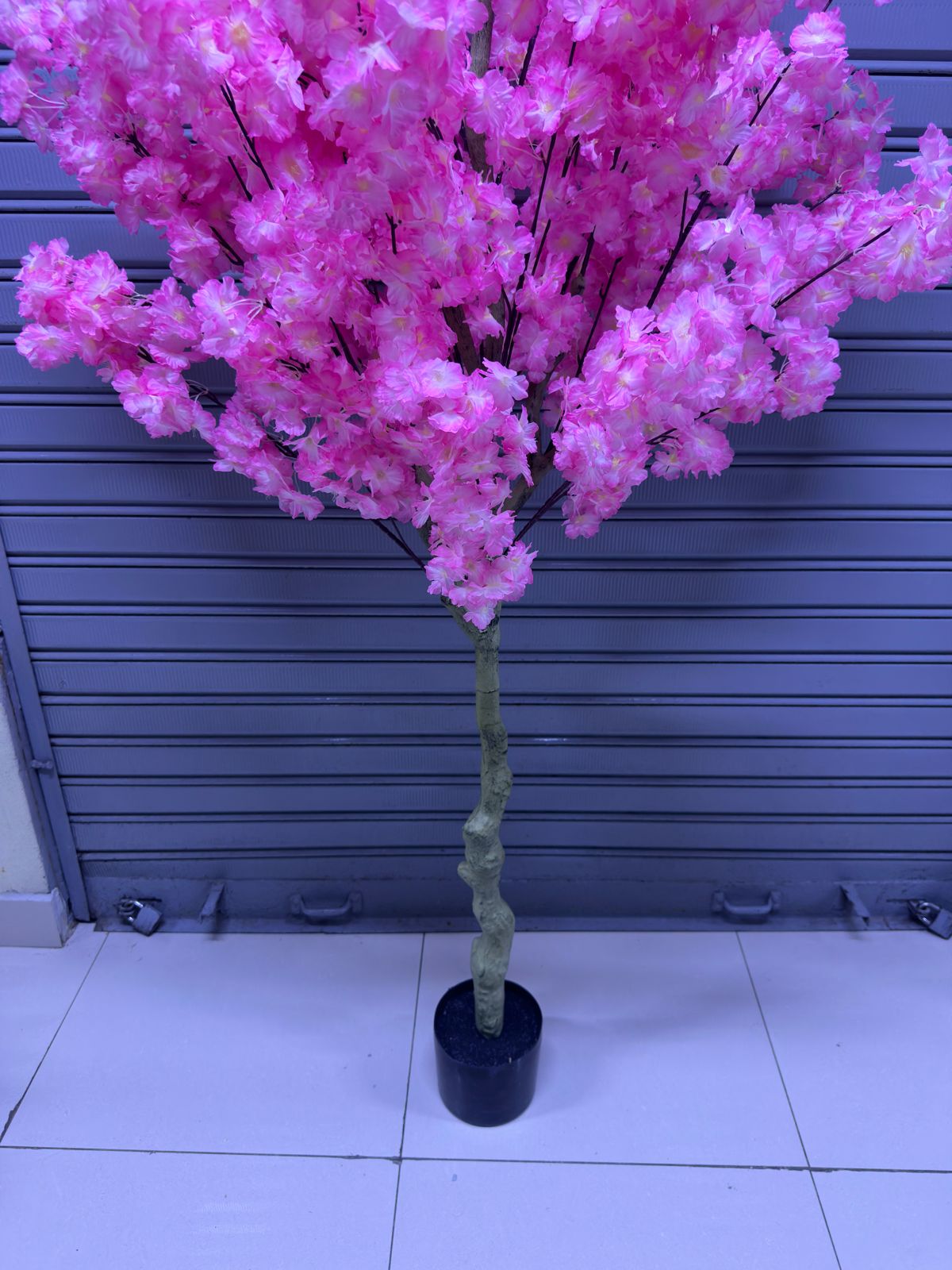 Árbol Sakura | Rosado | 200cm